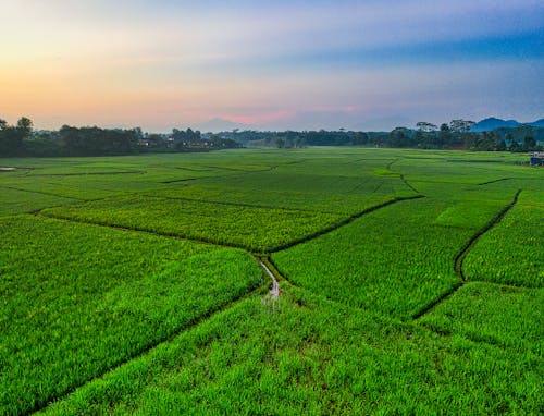 Puskesmas Pembantu (PUSTU)