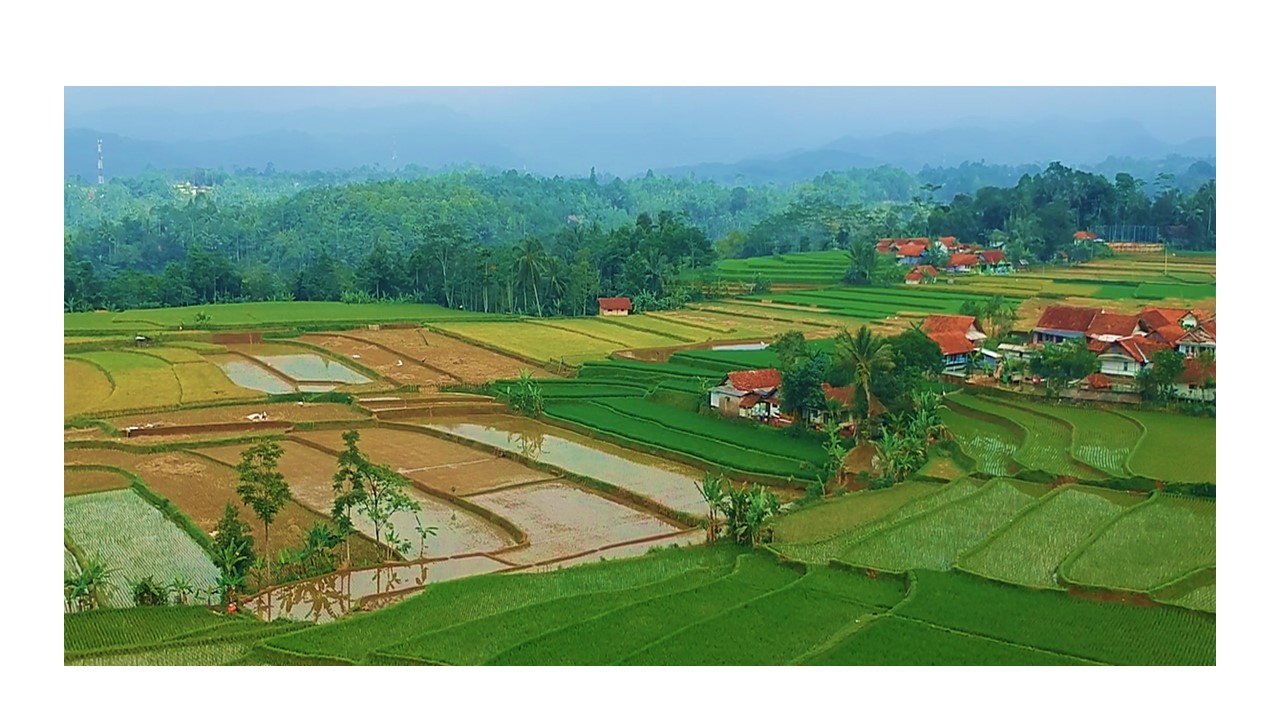 SAMPURASUN DESA LUYUBAKTI